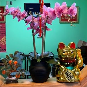 Meet your Posher, Nu